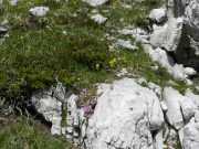 escursione alle cinque torri (23/43)